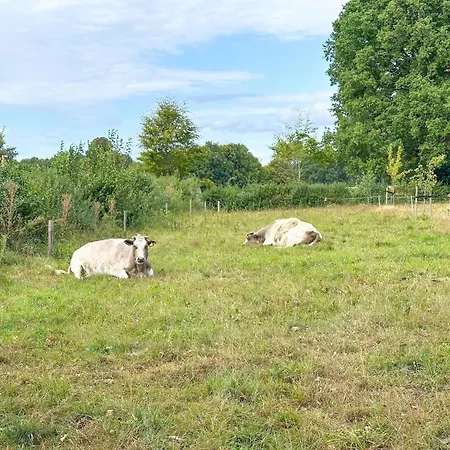 Дом отдыха Het Bunt *