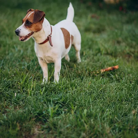 Het Bunt Дом отдыха Schijf