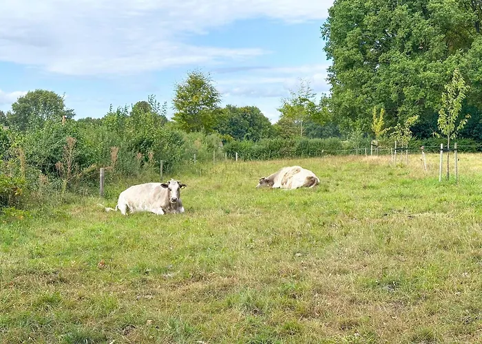 بيت للعطل Het Bunt *