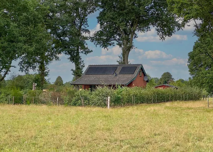 بيت للعطل Het Bunt Schijf